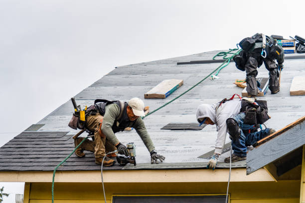 Professional Roofing technician working in Linden, VA